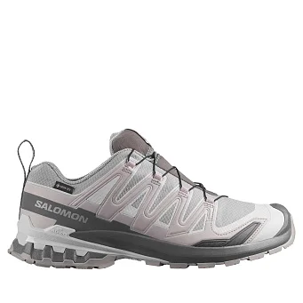 Кроссовки Salomon XA Pro 3D V9 Gore-Tex Alloy/Castlerock/Lunar Rock
